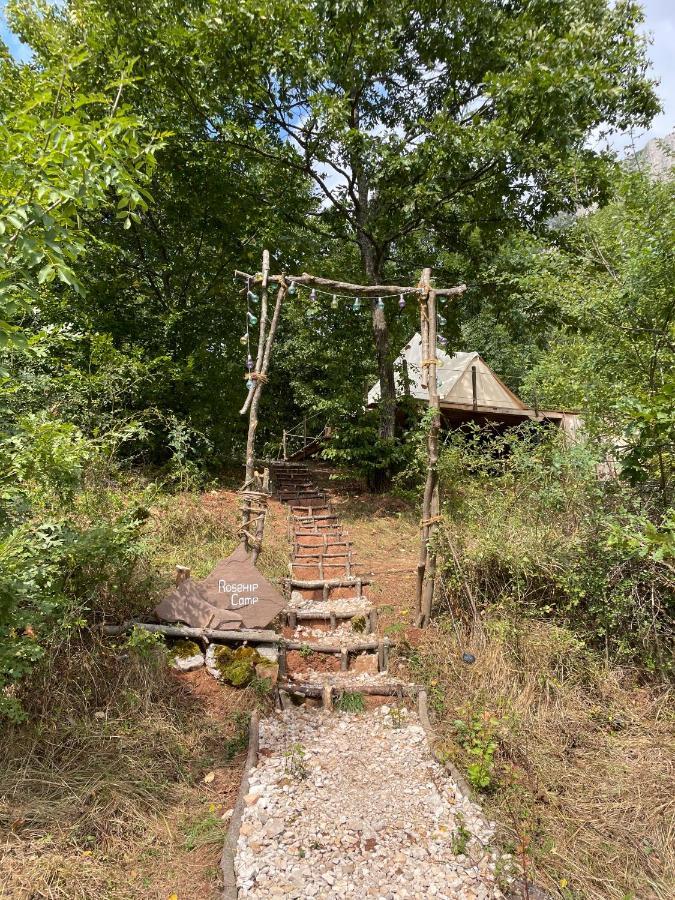 Rosehip Camp *